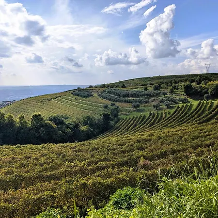 Corte Busola Jacuzzi Riscaldata Uso Esclusivo Ad Un Passo Da Verona