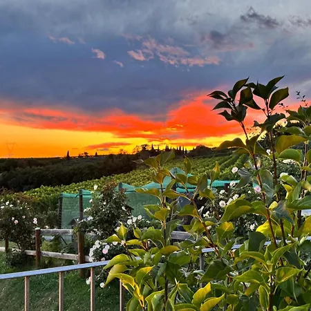 Apartmán Corte Busola Jacuzzi Riscaldata Uso Esclusivo Ad Un Passo Da Verona