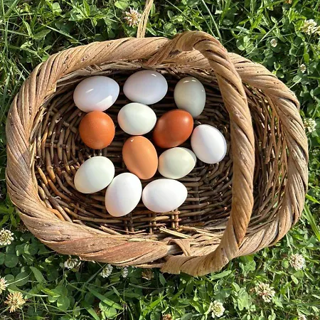 Corte Busola Jacuzzi Riscaldata Uso Esclusivo Ad Un Passo Da Apartmán *