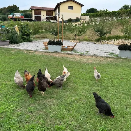 Corte Busola Jacuzzi Riscaldata Uso Esclusivo Ad Un Passo Da