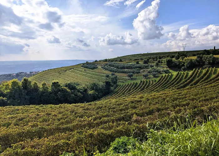 Corte Busola Jacuzzi Riscaldata Uso Esclusivo Ad Un Passo Da ヴェローナ
