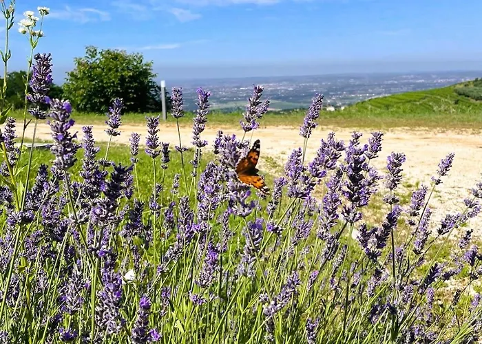 アパート Corte Busola Jacuzzi Riscaldata Uso Esclusivo Ad Un Passo Da