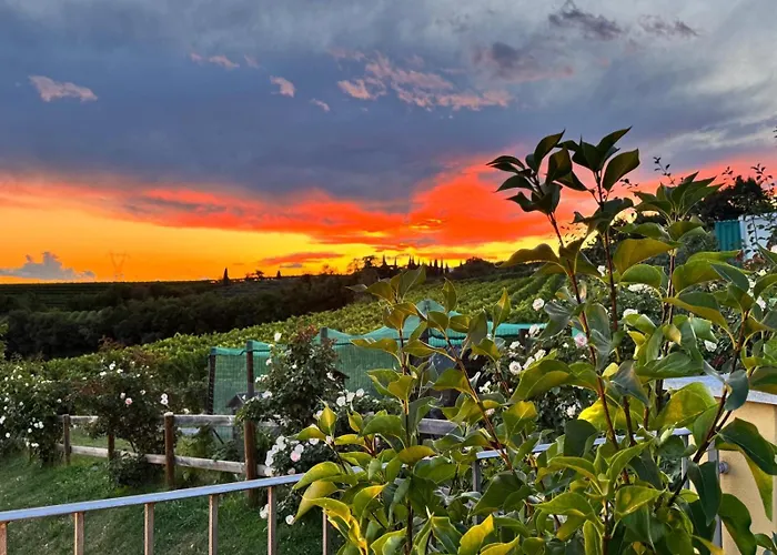 アパート Corte Busola Jacuzzi Riscaldata Uso Esclusivo Ad Un Passo Da ヴェローナ