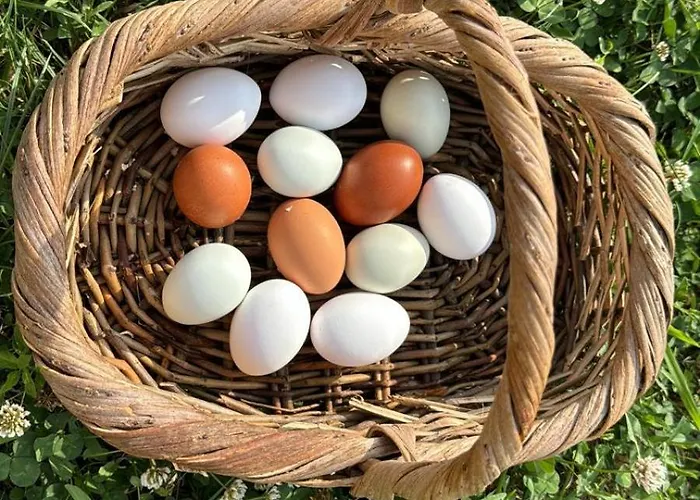 Corte Busola Jacuzzi Riscaldata Uso Esclusivo Ad Un Passo Da アパート *