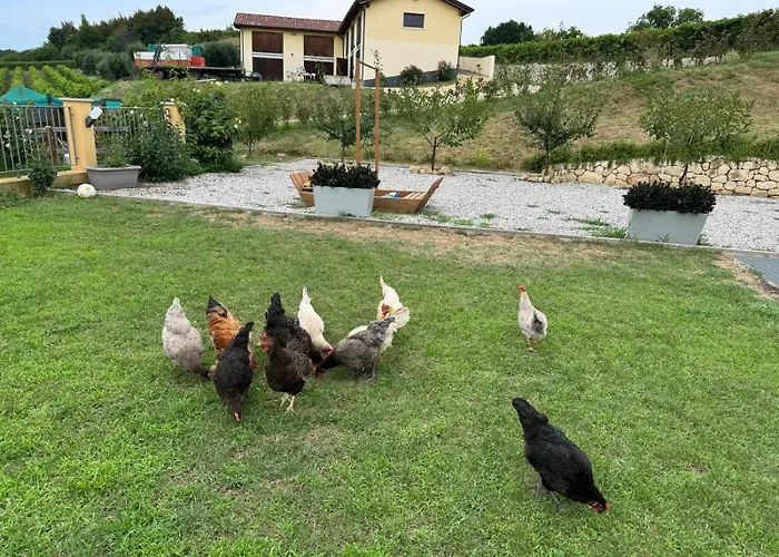 Corte Busola Jacuzzi Riscaldata Uso Esclusivo Ad Un Passo Da